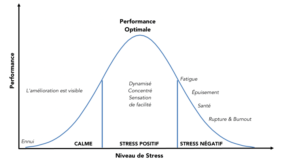 Loi de Yerkes et Dodson  et charge mentale