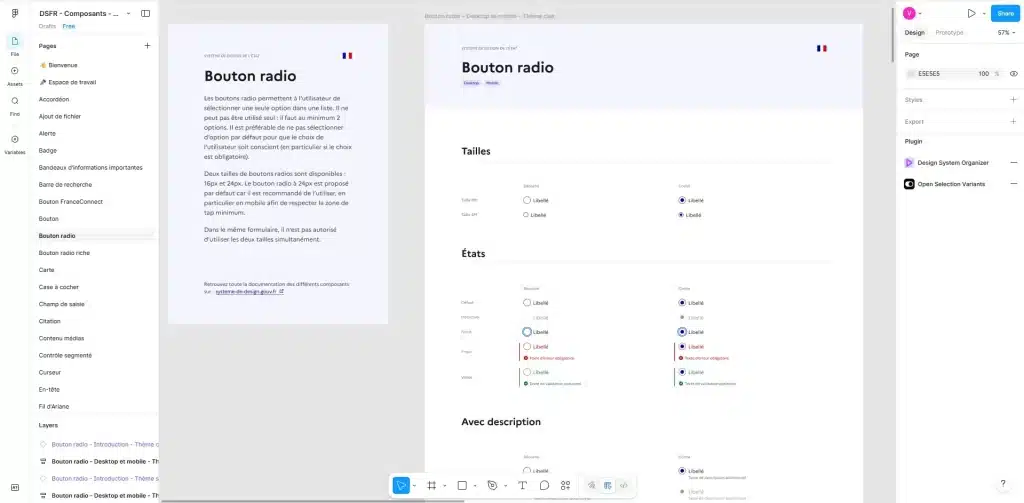 Dans le Design System du gouvernement français, accessible en ligne, on peut voir des explications textuelles sur les boutons radio, et à côté toutes les variations et différents états du bouton radio (erreur, survol, disabled, etc). Toutes les règles sont écrites et expliquées, c'est très visuel.